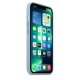 Apple Custodia MagSafe in silicone per iPhone 13 Pro - Celeste nebbia 7