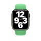 Apple 45mm Verde brillante Sport Band - Regular 4