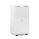 Argoclima ARGO LILIUM ART 13 2 L 38 dB 200 W Bianco 2