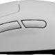 Logitech G Pro X Superlight mouse Giocare Mano destra RF Wireless 25600 DPI 14