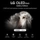 LG OLED evo Gallery Edition 4K 55'' Serie G2 OLED55G26LA Smart TV NOVITÀ 2022 4