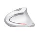 Trust Verto mouse Ufficio Mano destra RF Wireless Ottico 1600 DPI 7