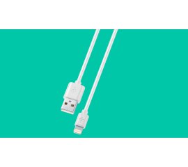 CAVO DATI USB 1M LIGHTNING BIANCO