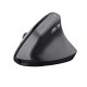 Trust TM-270 mouse Ufficio Mano destra RF Wireless Ottico 2400 DPI 2