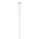 Apple Cavo da USB-C a lightning 2mt 5