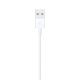 Apple Cavo da Lightning a USB (1 m) 5