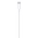 Apple Cavo da USB‑C a Lightning (1 m) 5