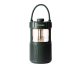 Pure 252584 altoparlante portatile e per feste Verde 20 W 6