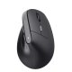 Trust Bayo II mouse Medico Mano destra RF Wireless Ottico 2400 DPI 4