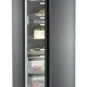 Liebherr RBbsc 528i Peak BioFresh frigorifero Libera installazione 384 L C Nero, Acciaio inox 10