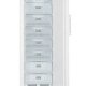 Liebherr GNP 3013 Comfort NoFrost Congelatore verticale Libera installazione 269 L F Bianco 4