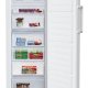 Beko RFNE290I31W congelatore Congelatore verticale Libera installazione 250 L Bianco 4