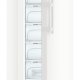 Liebherr GNi 4335-20 Congelatore verticale Libera installazione 268 L Bianco 6