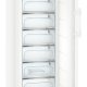 Liebherr GN 4375 Premium Congelatore verticale Libera installazione 277 L D Bianco 5