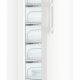 Liebherr GN 4375 Premium Congelatore verticale Libera installazione 277 L D Bianco 6