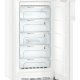 Liebherr GN 3835-21 Congelatore verticale Libera installazione 221 L C Bianco 5