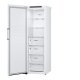LG GFT41SWGSZ congelatore Congelatore verticale Libera installazione 324 L E Bianco 7