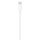 Apple Cavo da USB-C a lightning 1mt 5