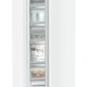 Liebherr FNd 4625 Plus NoFrost Congelatore verticale Libera installazione 200 L D Bianco 3