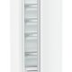 Liebherr FNd 4625 Plus NoFrost Congelatore verticale Libera installazione 200 L D Bianco 6