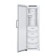 LG GFT61SWCSE congelatore Congelatore verticale Libera installazione 324 L E Bianco 4