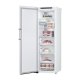 LG GFT61SWCSE congelatore Congelatore verticale Libera installazione 324 L E Bianco 6