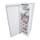 LG GFT61SWCSE congelatore Congelatore verticale Libera installazione 324 L E Bianco 7