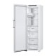 LG GFT61SWCSE congelatore Congelatore verticale Libera installazione 324 L E Bianco 8
