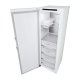 LG GFT61SWCSE congelatore Congelatore verticale Libera installazione 324 L E Bianco 10