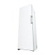 LG GFT61SWCSE congelatore Congelatore verticale Libera installazione 324 L E Bianco 13