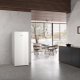 Miele FN 4849 C Congelatore verticale Libera installazione 311 L Bianco 7