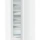 Liebherr FNd 6625 Plus NoFrost Congelatore verticale Libera installazione 260 L D Bianco 6