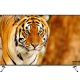 Hitachi 43HG6W69I TV Hospitality 109,2 cm (43